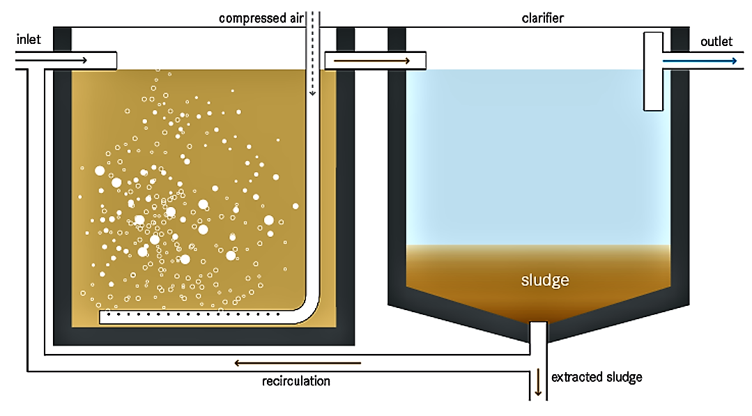 activated-sludge-sswm-find-tools-for-sustainable-sanitation-and